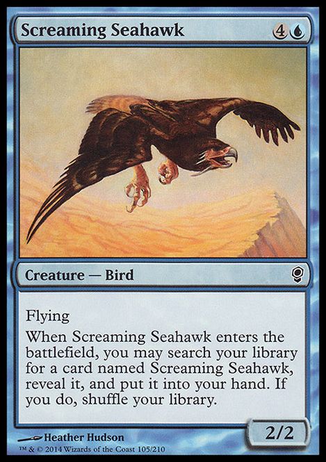 Hovedbilde Screaming Seahawk