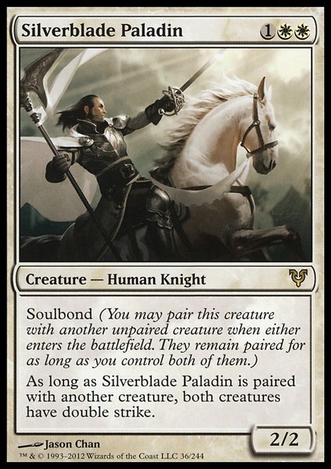 Hovedbilde Silverblade Paladin