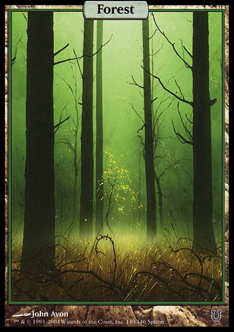 Hovedbilde Forest