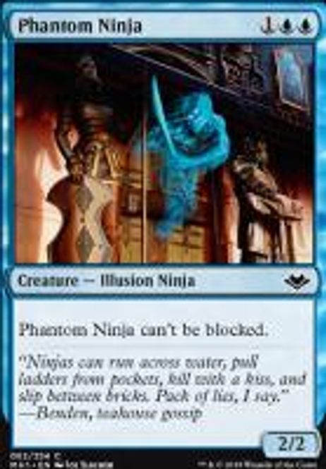 Hovedbilde Phantom Ninja