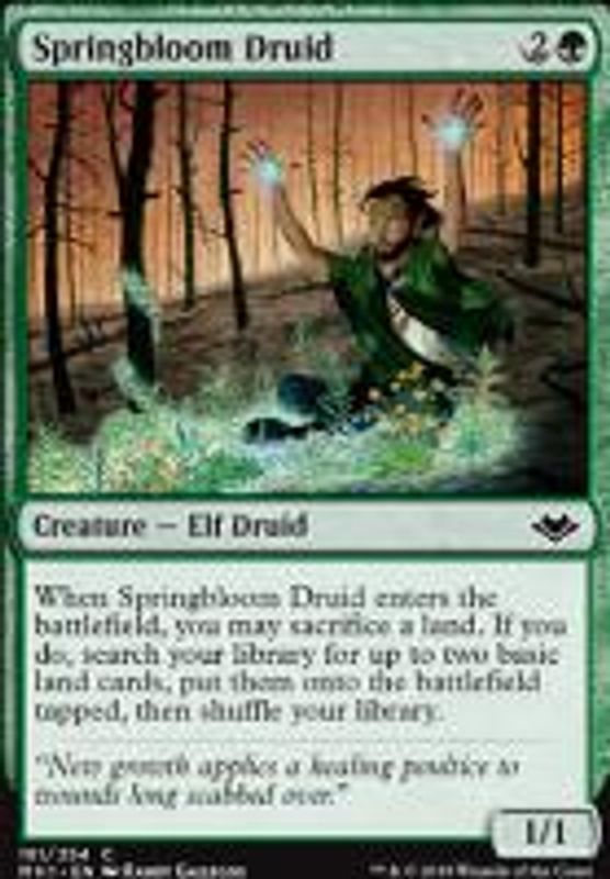Springbloom Druid