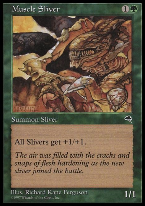 Hovedbilde Muscle Sliver
