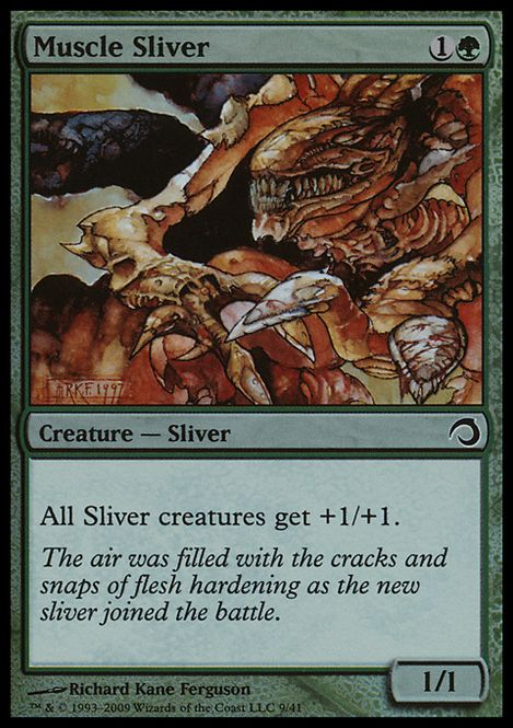Hovedbilde Muscle Sliver