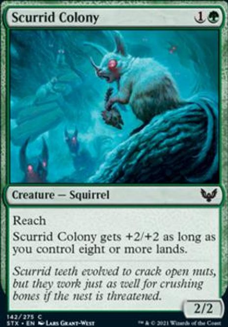 Hovedbilde Scurrid Colony