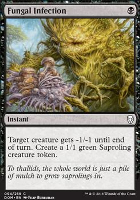 Fungal Infection