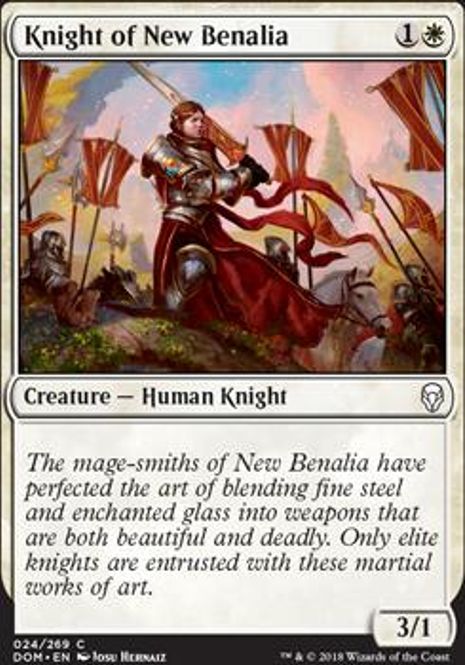 Hovedbilde Knight of New Benalia