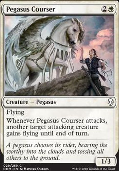 Hovedbilde Pegasus Courser