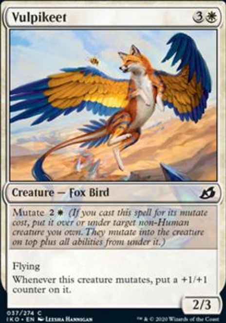Hovedbilde Vulpikeet