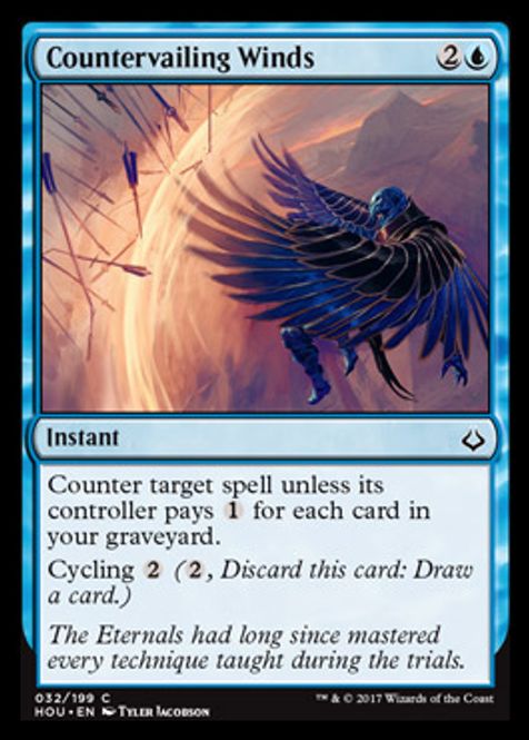 Hovedbilde Countervailing Winds