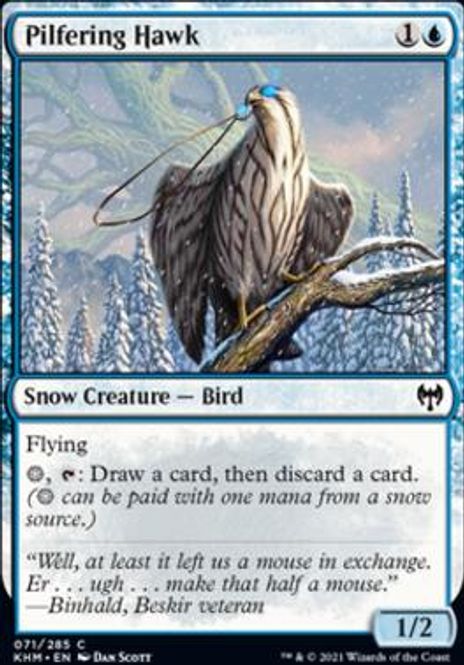 Hovedbilde Pilfering Hawk
