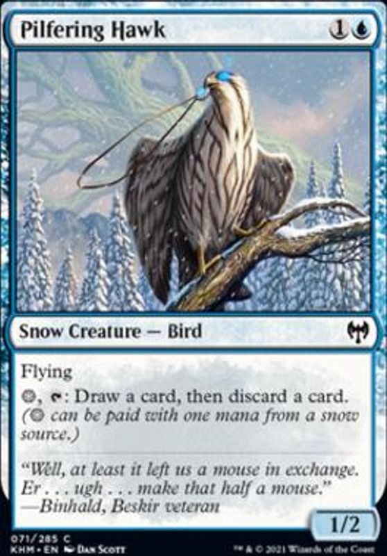 Pilfering Hawk