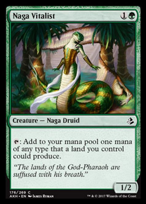 Hovedbilde Naga Vitalist