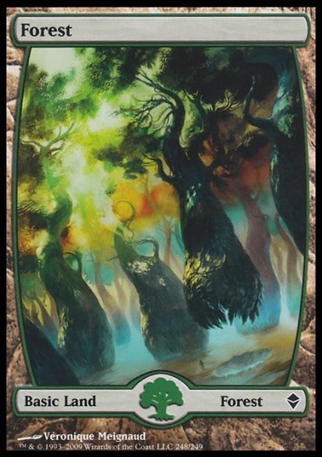 Hovedbilde Forest (248)