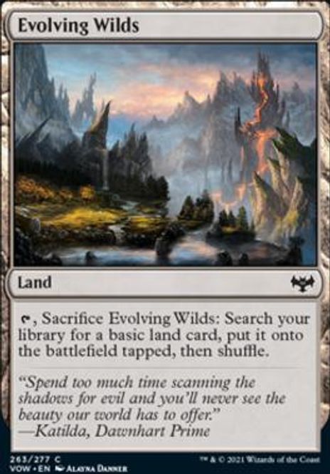 Hovedbilde Evolving Wilds