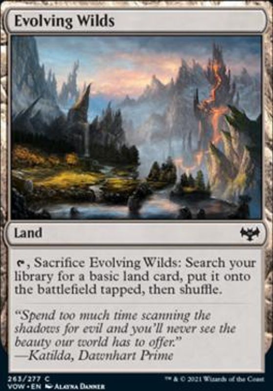 Evolving Wilds