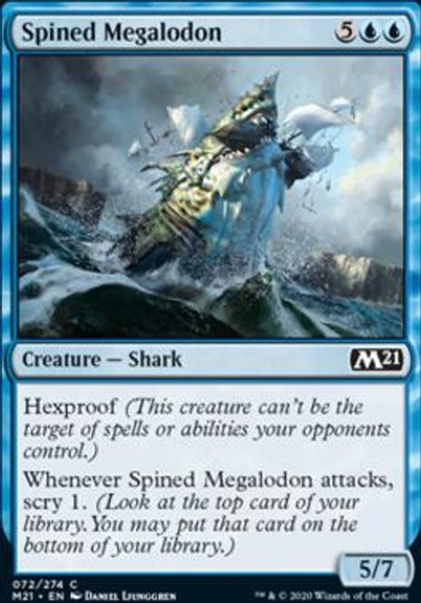 Hovedbilde Spined Megalodon