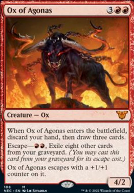 Hovedbilde Ox of Agonas