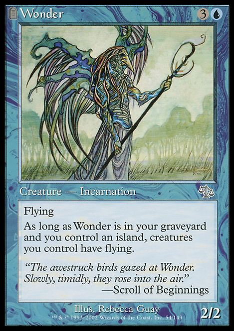Hovedbilde Wonder