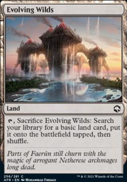 Hovedbilde Evolving Wilds (foil)