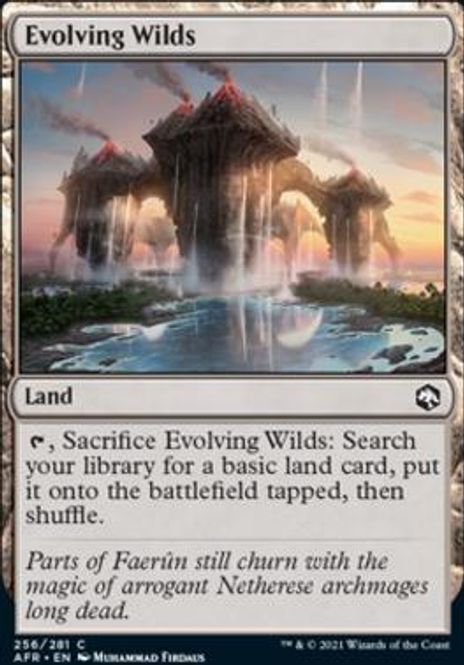 Hovedbilde Evolving Wilds