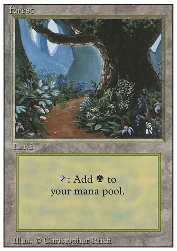 Forest A