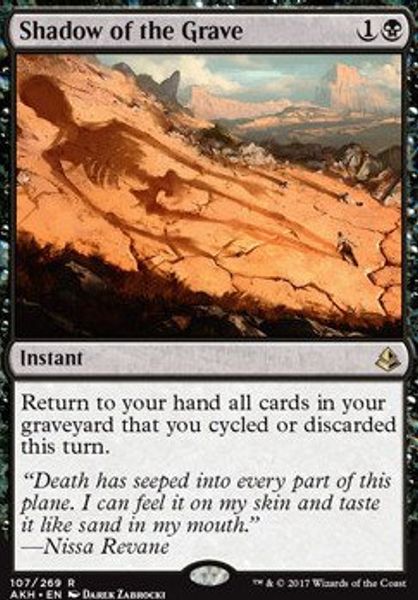 Hovedbilde Shadow of the Grave