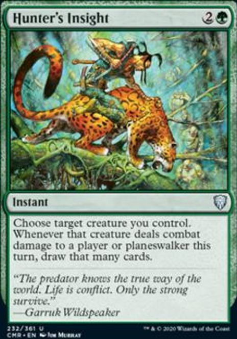Hovedbilde Hunter's Insight