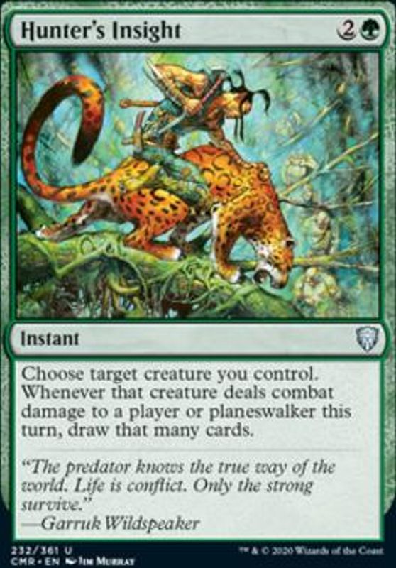 Hunter's Insight (foil)