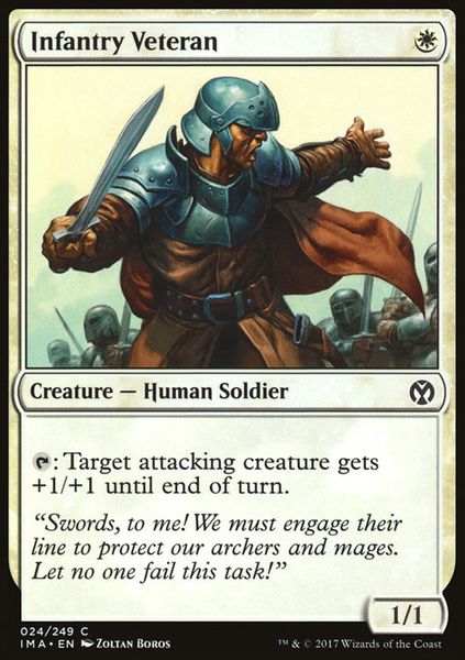 Hovedbilde Infantry Veteran