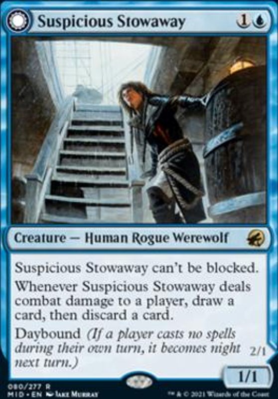 Suspicious Stowaway