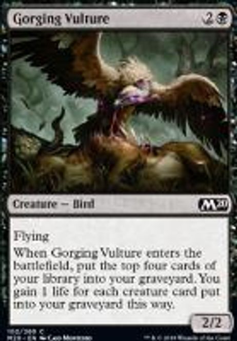 Hovedbilde Gorging Vulture