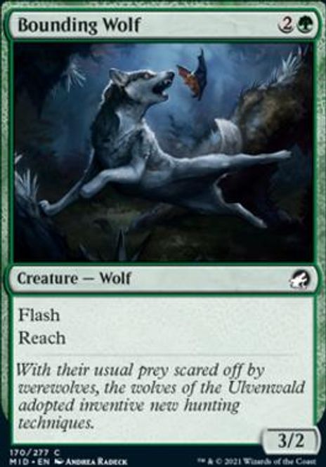 Hovedbilde Bounding Wolf (foil)