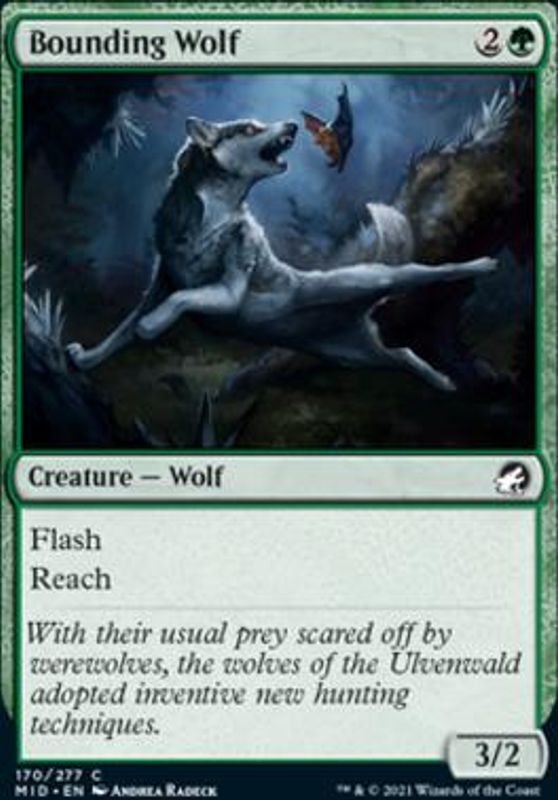 Bounding Wolf