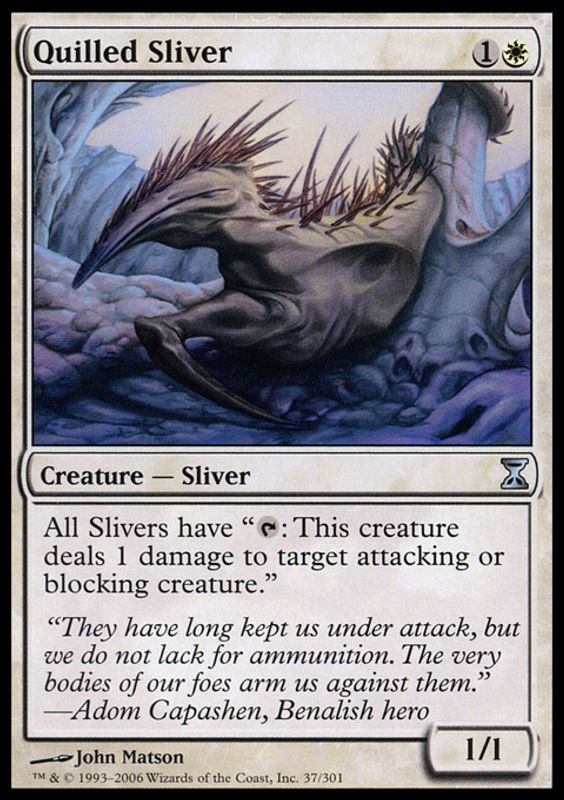 Quilled Sliver