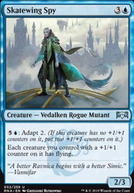 Hovedbilde Skatewing Spy
