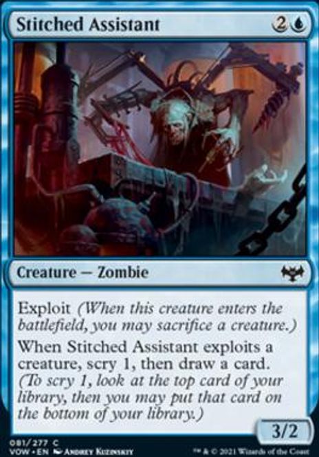 Hovedbilde Stitched Assistant (foil)