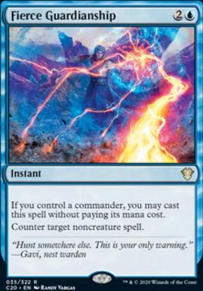 Hovedbilde Fierce Guardianship