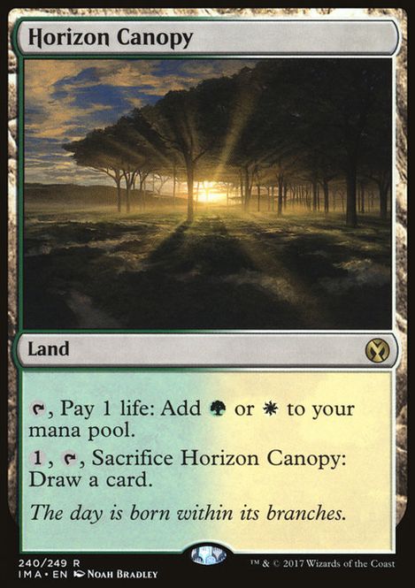 Hovedbilde Horizon Canopy