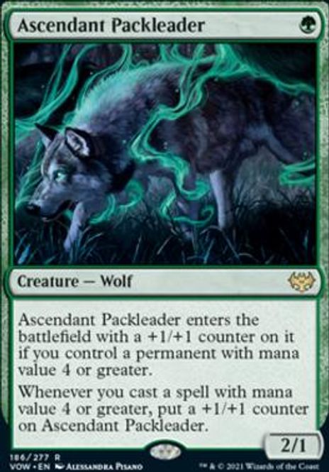 Hovedbilde Ascendant Packleader