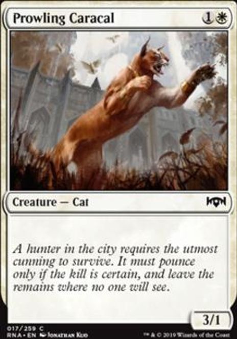 Hovedbilde Prowling Caracal (foil)