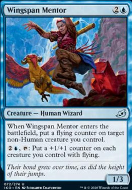 Hovedbilde Wingspan Mentor