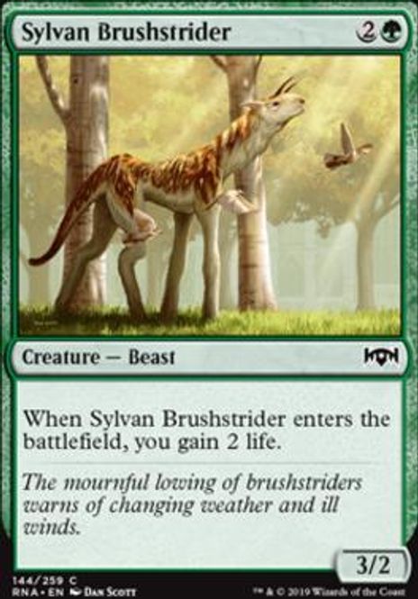 Hovedbilde Sylvan Brushstrider (foil)