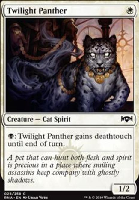 Hovedbilde Twilight Panther