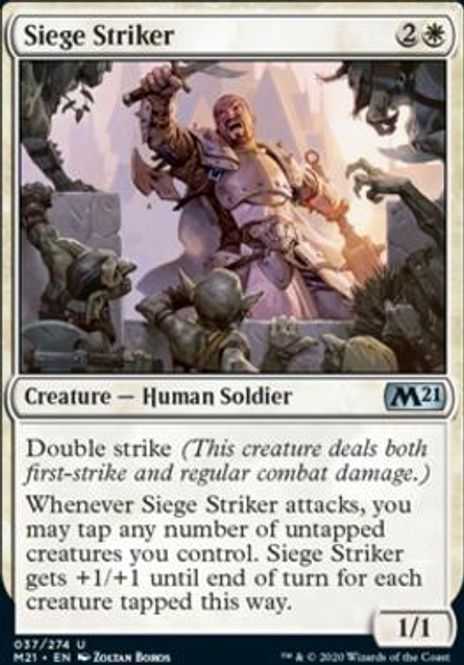 Hovedbilde Siege Striker