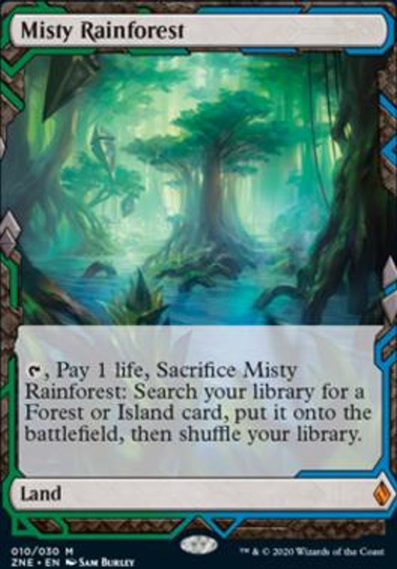 Misty Rainforest