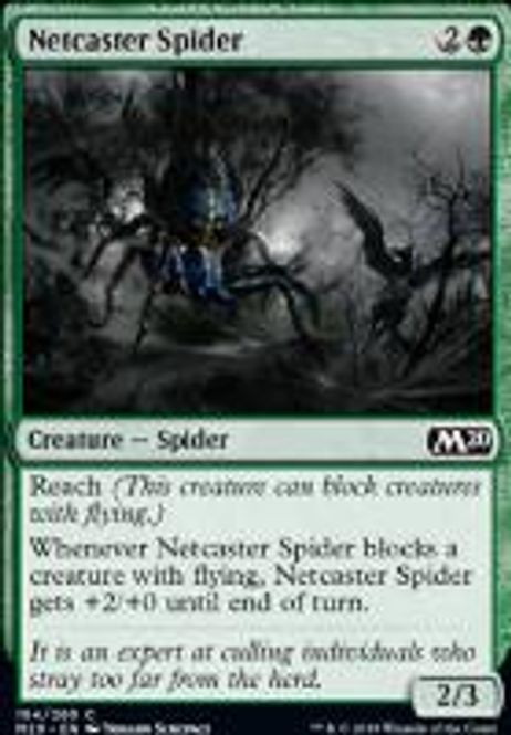 Hovedbilde Netcaster Spider