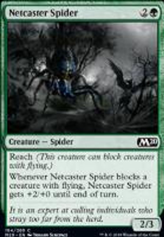 Netcaster Spider