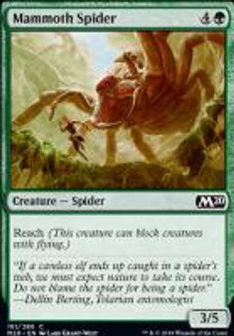 Hovedbilde Mammoth Spider