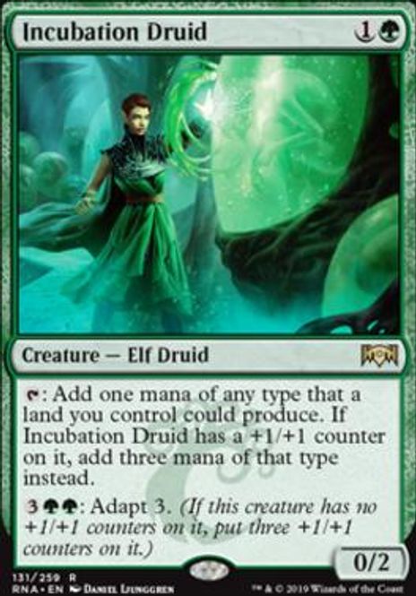 Hovedbilde Incubation Druid