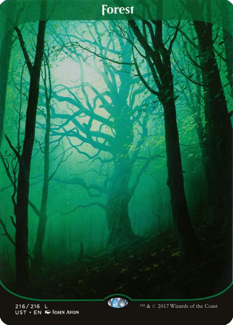 Hovedbilde Forest